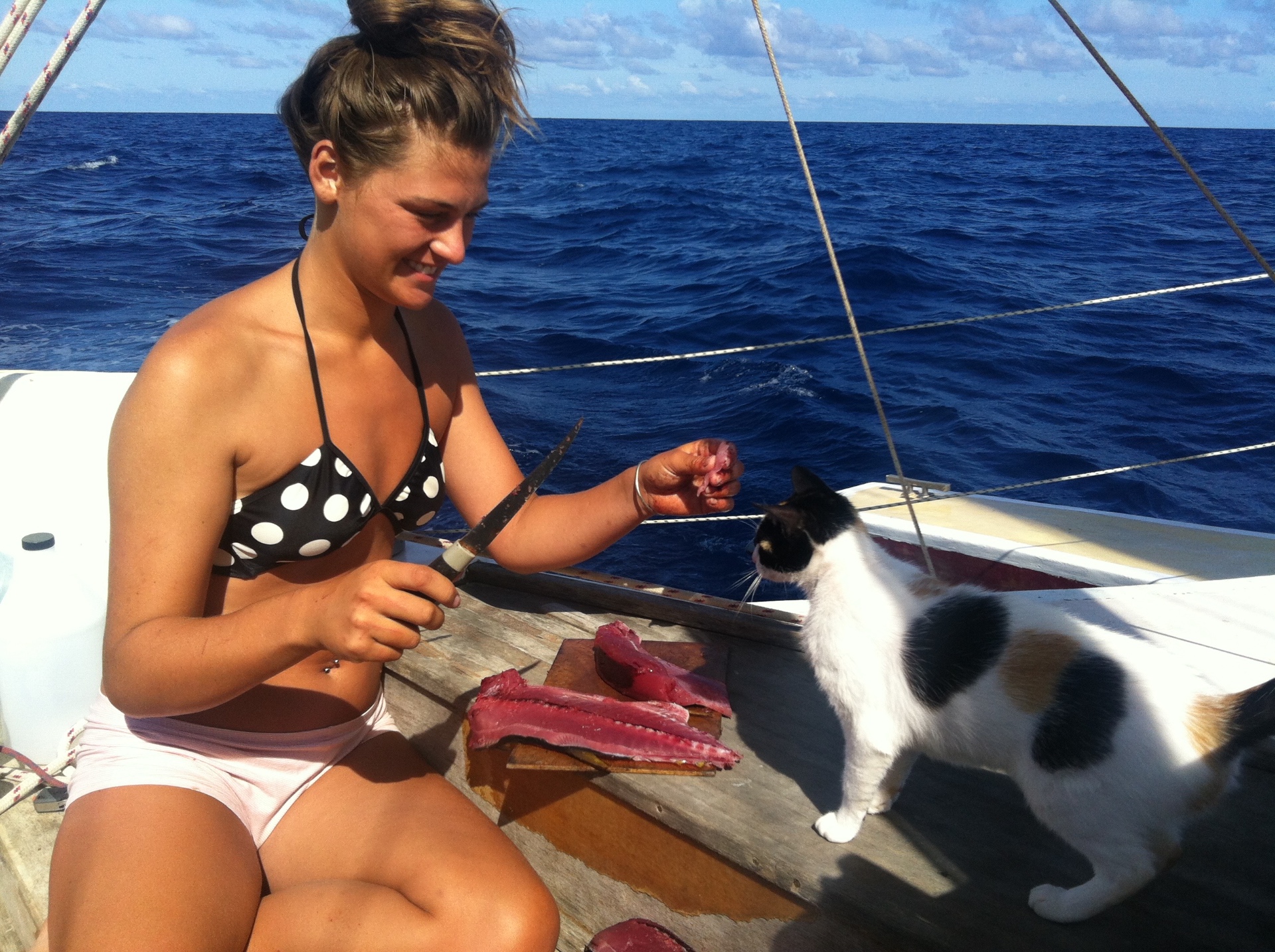 Laura preparing freshly caught fish on deck while sailing the Atlantic, with the ship's cat watching
